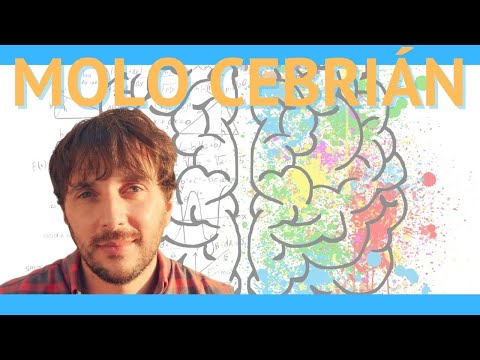 Entrevista a Molo Cebrián (Entiende tu mente y Saliendo del círculo) | Podcast El Estoico