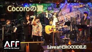 Cocoroの翼【Live Ver.】