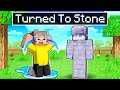 Cash TURNED TO STONE In Minecraft