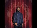 Fally Ipupa Vip