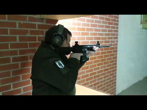 Sig Sauer .223 Rem