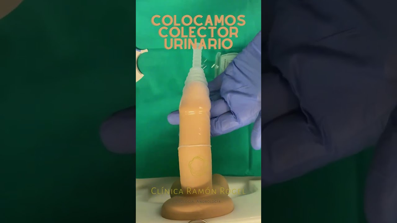Poner un colector urinario