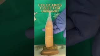 Poner un colector urinario