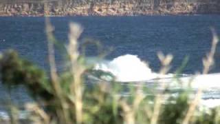 preview picture of video 'Errant Surf Holidays Team Rider Blog'