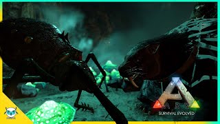 《方舟生存进化》Ark Survival Evolved EP 6 : 神器，山洞挑战