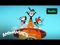 Animaniacs Silly Sing A Long Catch Up Hulu