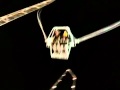 Rocket Jump South Padre 