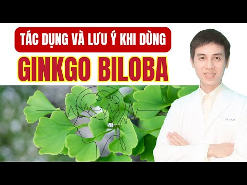 What are the effects of Ginkgo Biloba? Who should use it, who should limit it ❗| Pharmacist Dat