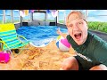 I Turned My School Bus Into A BEACH