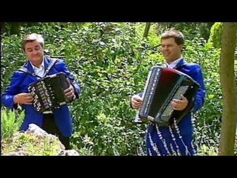 FISARMONICA | "MERAVIGLIOSO" (Valzer) Roberto Scaglioni, Ruggero Passarini @Musicainballo