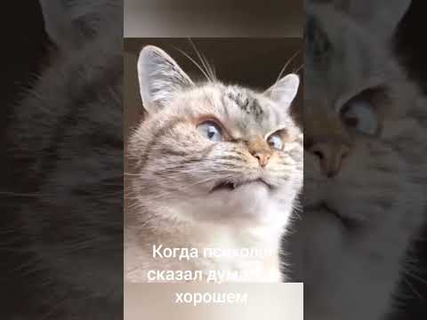 я улыбаюсь этому миру!