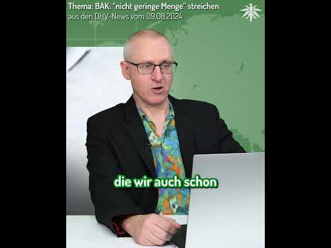 🤝 Bundesrechtsanwaltskammer: "Nicht geringe Menge" streichen! ❌ | Clip aus den DHV-News vom 09.08.24