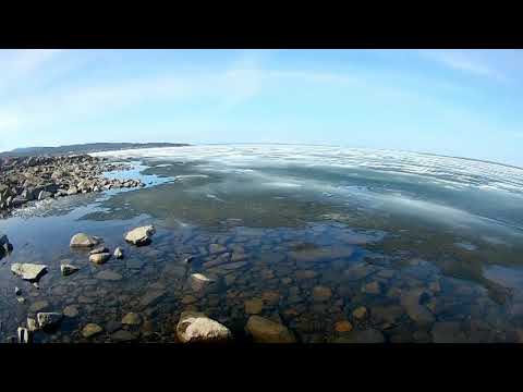 На берегу озера