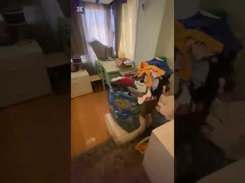 مراحل التنظيف الجذري للمنازل