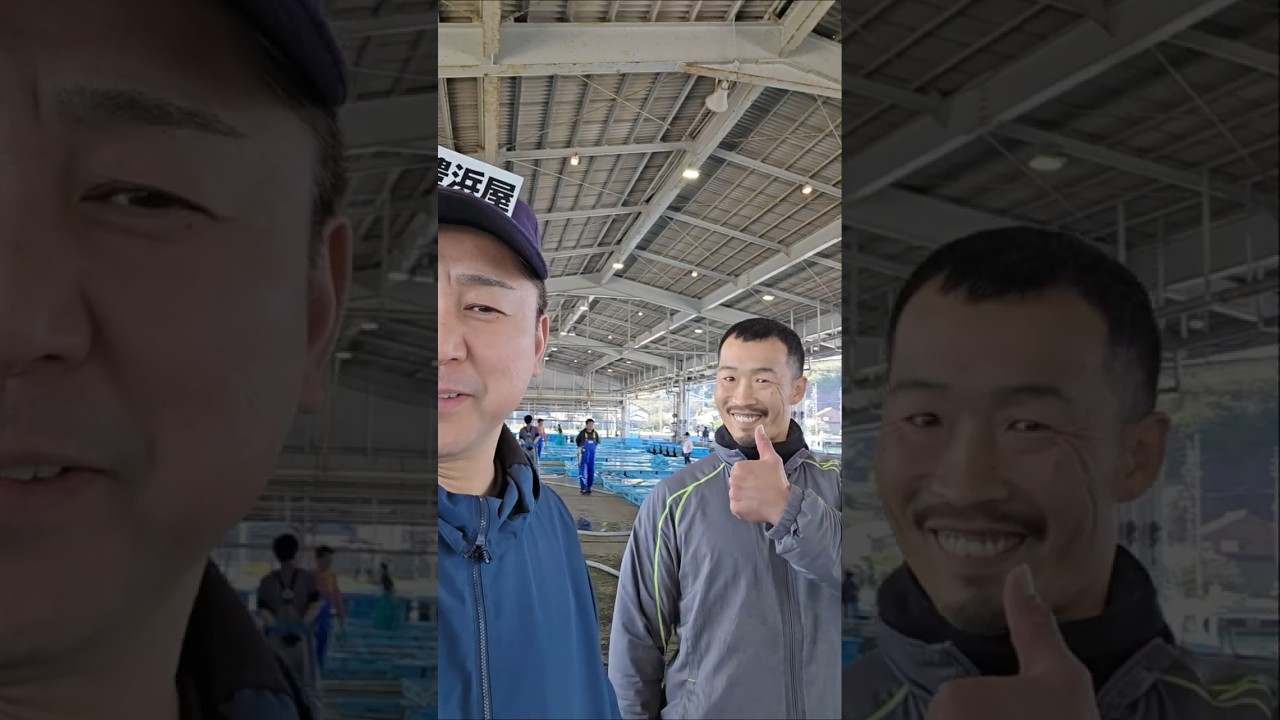 今日は良い○○が入りました！2026年4月3日の片名市場の様子 #へんな魚おじさん #片名市場