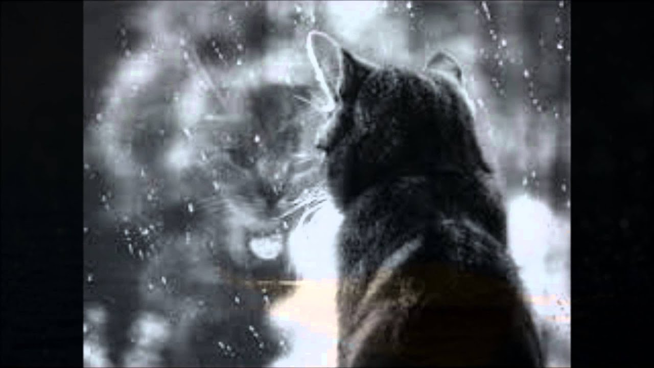 Watch Autumn Rain — Dana Gruber on mountain dulcimer