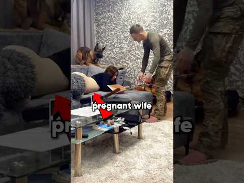 K9 Ends Disrespect Toward Pregnant Wife! 🐶🔫