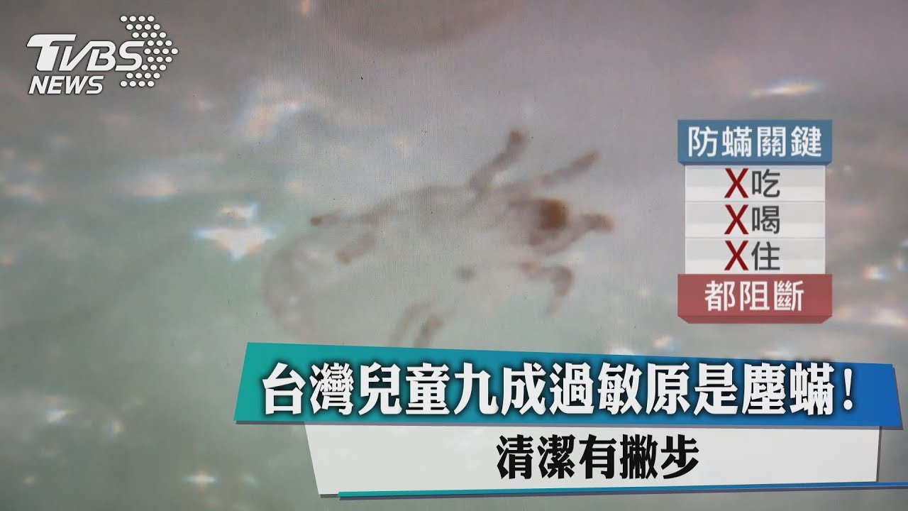 台灣兒童9成過敏原是塵蟎! 清潔有撇步
