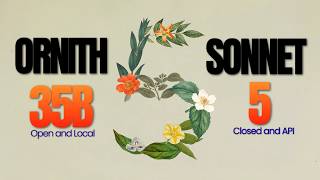 Sonnet 5 vs Ornith 35B: Can a Local Model Beat Closed-Source?