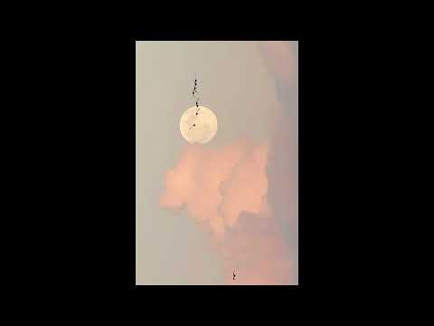 Velika - ตกหลุมรักพระจันทร์ (audio)