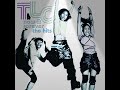 TLC No Scrubs Rap Version