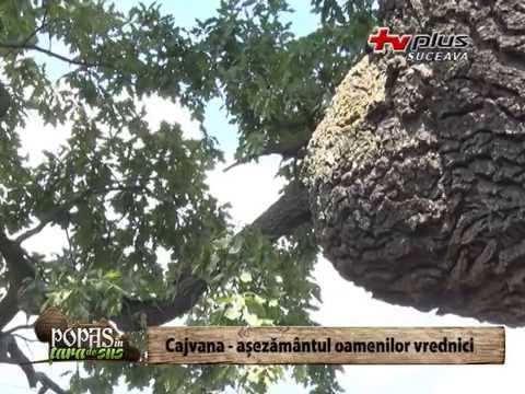 Popas în Țara de Sus - Cajvana, așezământul oamenilor vrednici