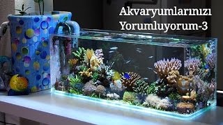 Akvaryumlarınızı Yorumluyorum-3