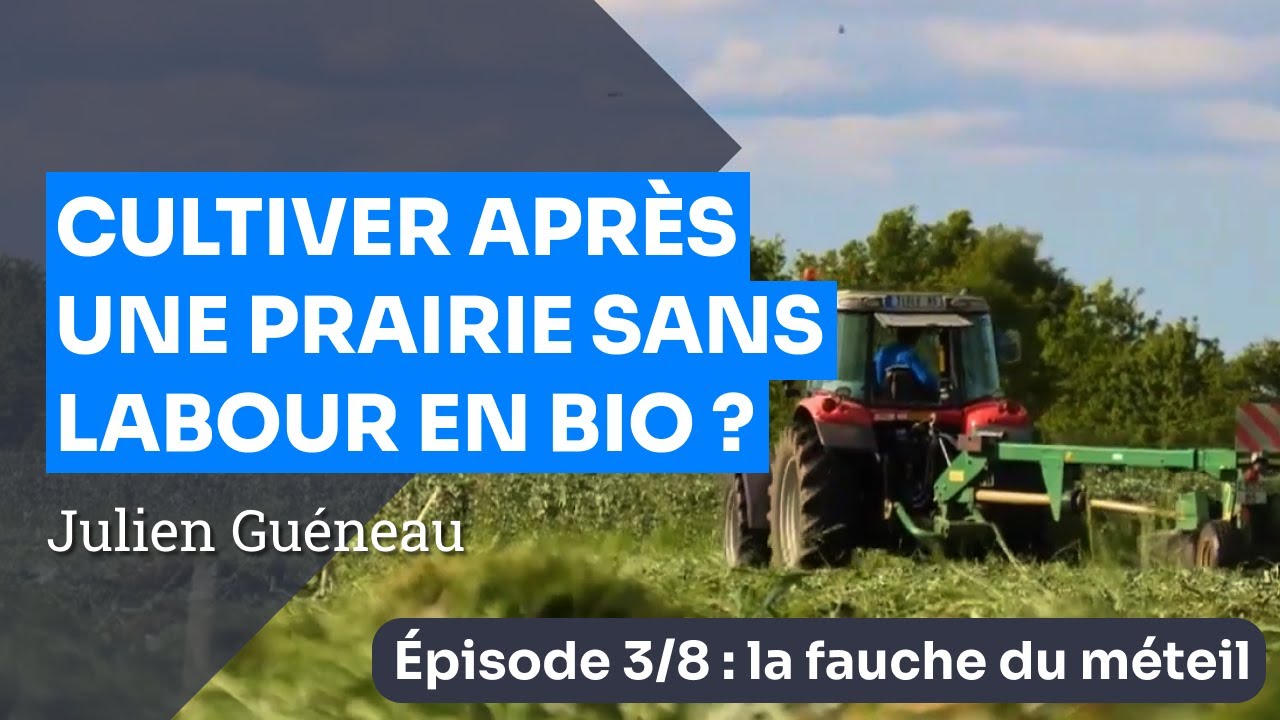 Épisode 3 :  La fauche du méteil - Implanter une culture en Bio sans labour après prairie