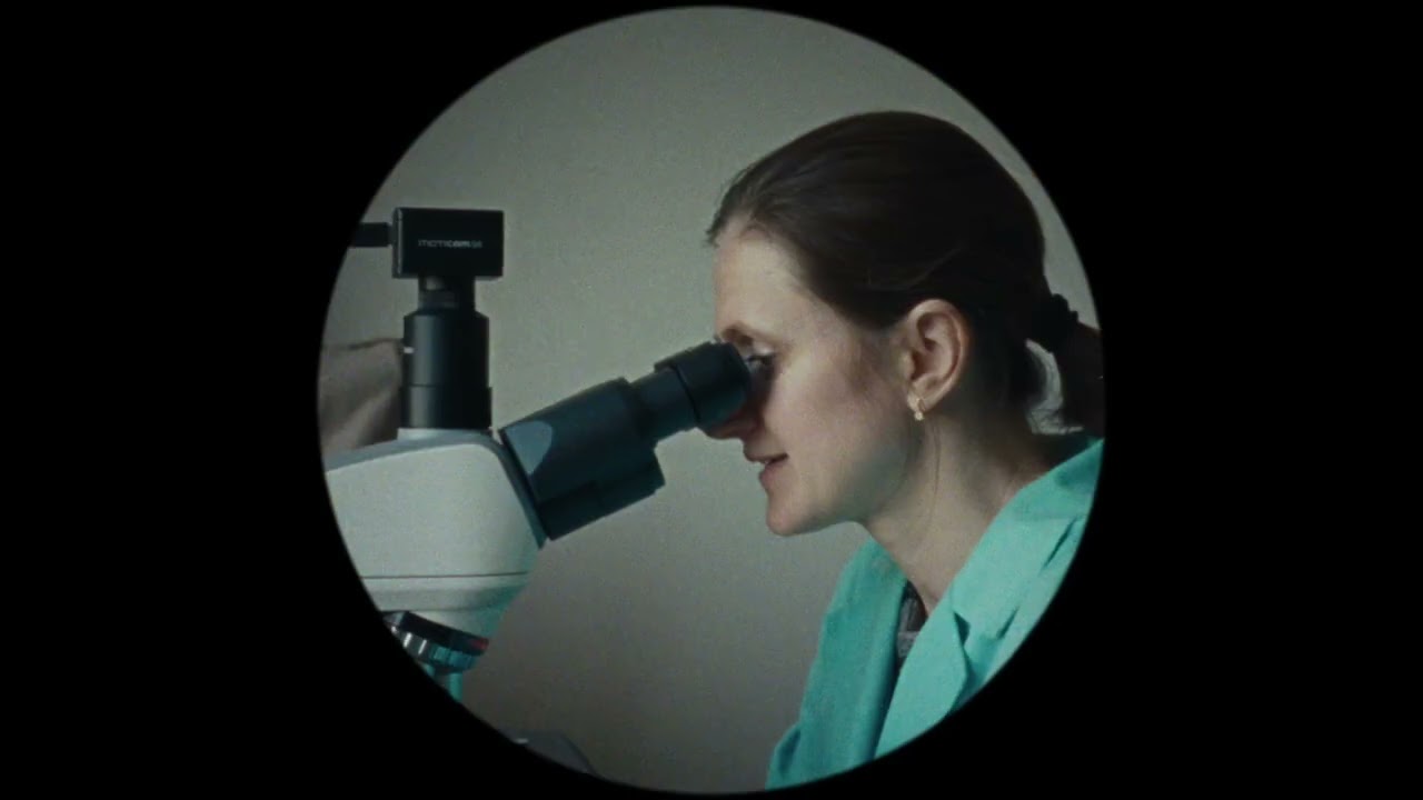 Holy Destructors trailer | PÖFF29