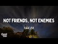 Isaac Levi - not friends, not enemies (Lyrics)