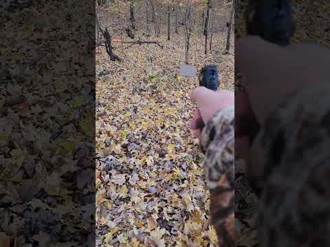 Public Defender Poly and Rabbit Target! 15yds is just too far....