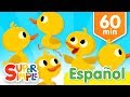 Cinco Patitos Y Más Canciones Infantiles Música Para Niños