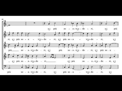 Cipriano de Rore: Ben si conviene a voi - Blue Heron