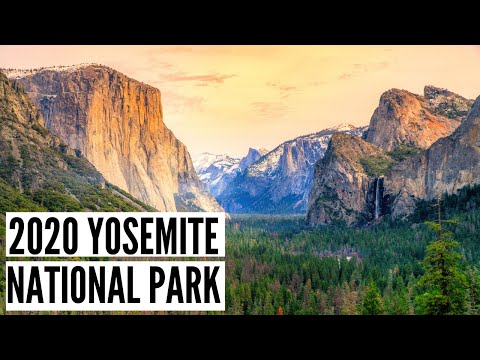 Yosemite National Park 2020 (Pandemic Getaway)