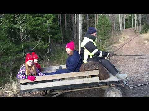 Kapitel 16 Nemo och syskonträff del 3