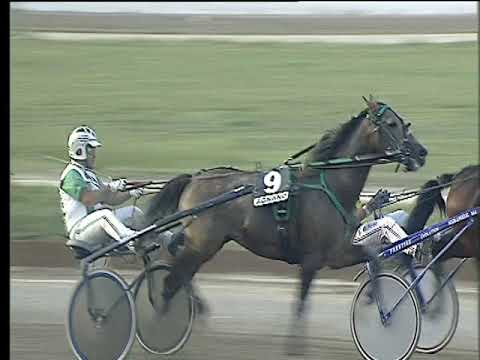 Trotto 08/09/2017 - 5ª corsa