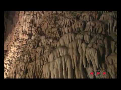 Gunung Mulu National Park (UNESCO/NHK)