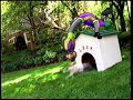 Chuck E Cheese Commercial Walk The Dog 2000