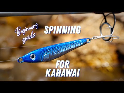 How to cast spinning lures for Kahawai - the basics, getting started