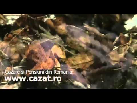Cazare Mitocasi, Suceava - Cazat.ro