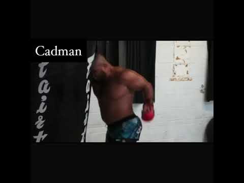 MMA Heavyweight fighter 2020