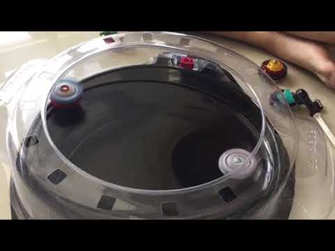 god valkyrie vs wild wyvern