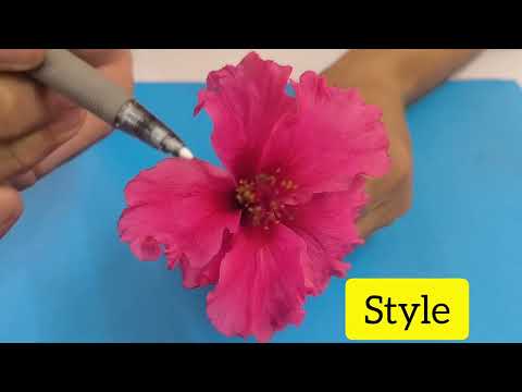 Parts of flowers 🌺| class 10 | biology| plant reproduction system. #biology #science  #flowers