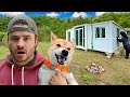 Overnight In My Off Grid Tiny Cabin And Bear Hunting