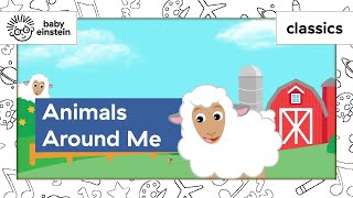 Toddlers Learn Animals | Animal Learning for kids | Cute Animals | Animals Around Me | Baby Einstein
