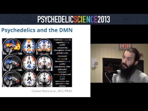 Effects of Psilocybin and MDMA on Resting State Hippocampal Functional Connectivity - Luke Williams
