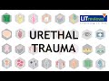 Urethral Trauma