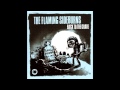The Flaming Sideburns - Funk 49