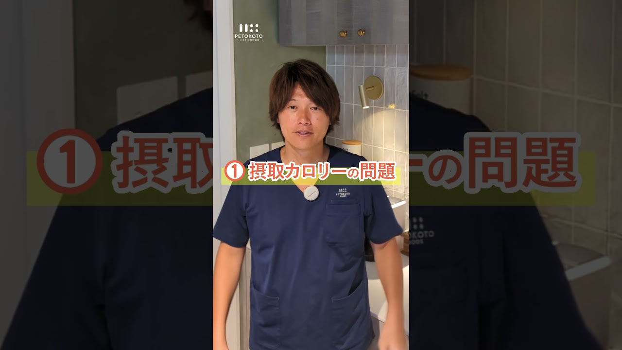 愛犬が太ってきたのフードのせい？ #いぬ #愛犬のごはん #愛犬の健康 #獣医師解説