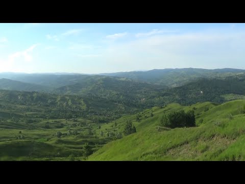 Peisaje de vis din Vrancea: Descoperă dealurile pitorești ale României